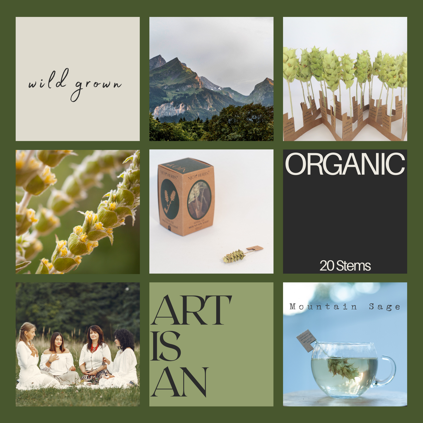 Classical, Flower Tea Mountain Sage